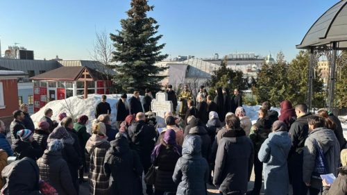 0qf054rbirbwjdsjb9sphl0i8