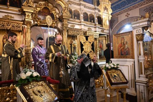 3muw6tsppydxdj7quqei2cz8qai60wji