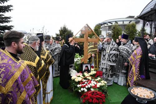 7b49jh4tb2yl9ygs3bnmjwagz0a170g9