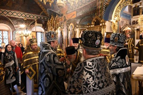 87pv49lk6wol4lkmfo0sw5r5lzaxcx4u