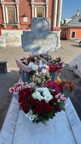 98mmcvz4azoqkxvei7n3n8ec6