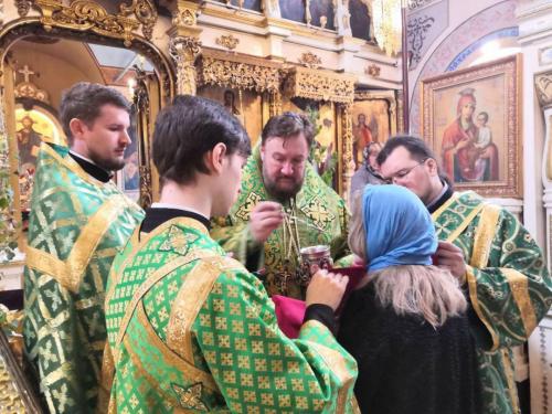 Света Литургија на празник Силаска Светог Духа на апостоле (07.06.2020)