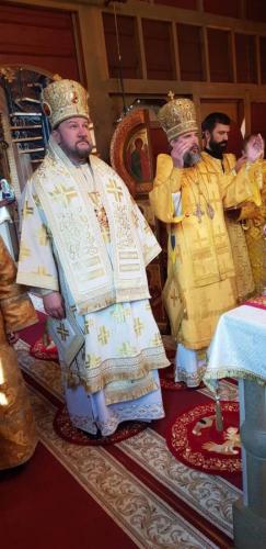 a9jgjxlh9gn0y9mig5vexpnqh