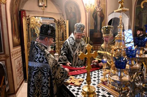 cwvqzp0ky3qn1xryj0dec7vsrp0b8cub