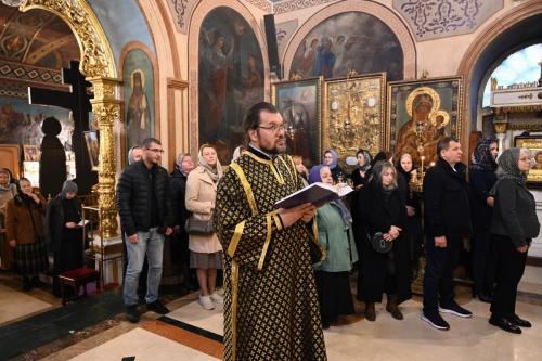 hyutq8ez43bl18lwnqluj66mg7wcfw0i