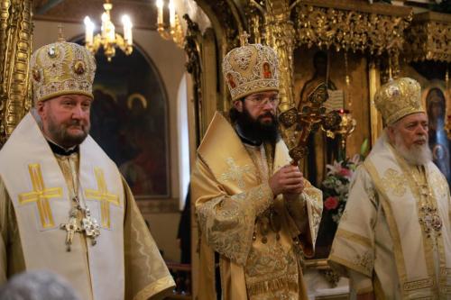 photo 2023-07-13 11-21-26