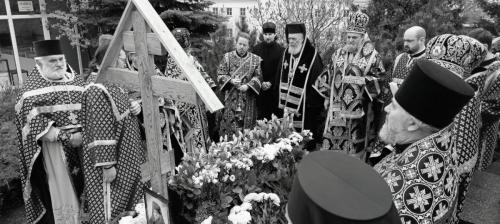 photo 2024-04-20 07-50-41