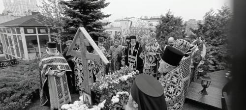 photo 2024-04-20 07-50-42