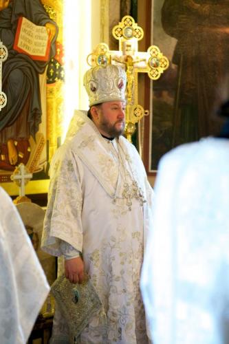 qbm1z81uf7w1pzxju5v7td0q1