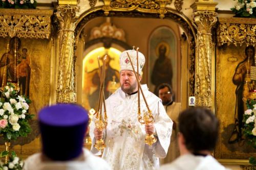 rg9x6z3m7brlry805qo65wtks