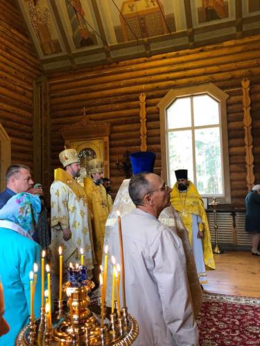 svrrol8fq8ualqz2np8uf2e24