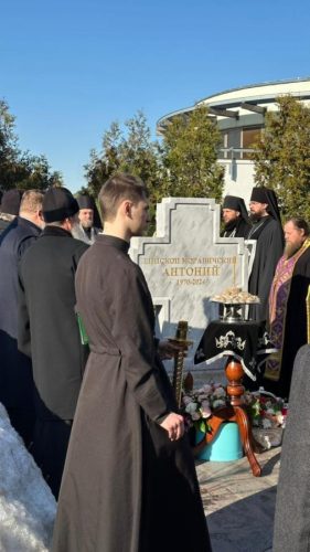 tlsxvo1l44uu31x14e8irr5de