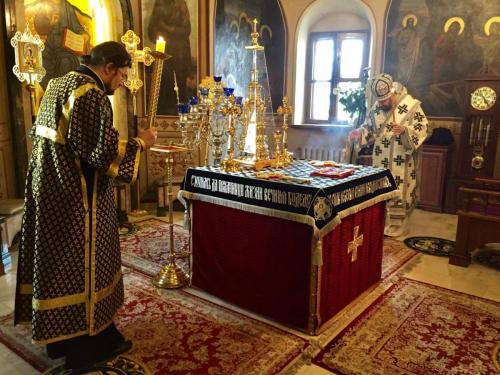 txmg9p5x7yjpqkktenm3cyapd