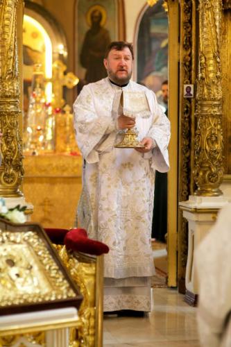 zz7s8xregtga0sgn9o81ofdfo