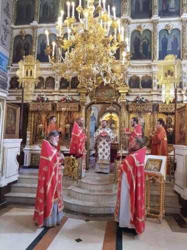 василије (35)