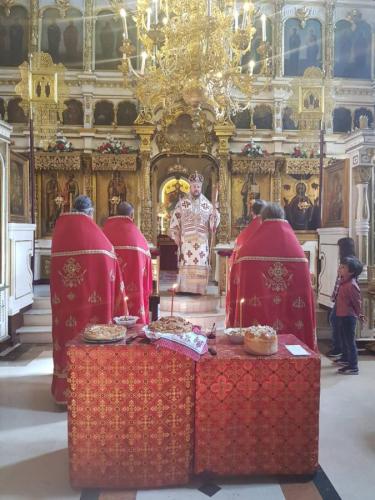 василије (37)